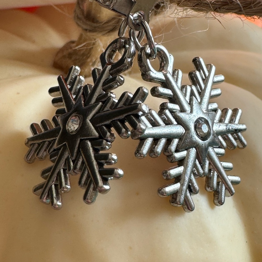 Earrings- NEW